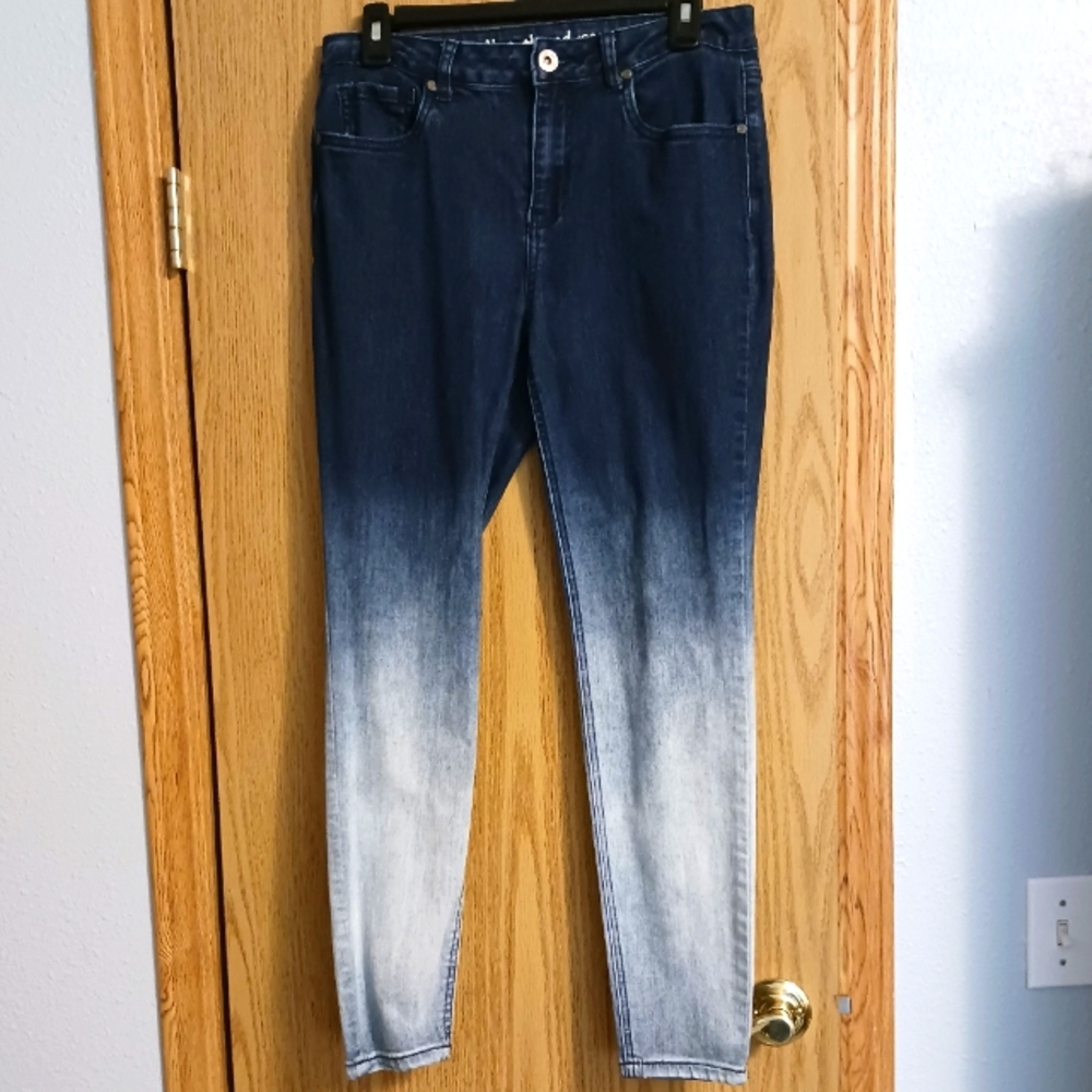 Indigo Thread Co. Ombre Jeans
